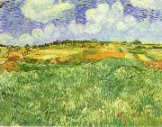 Vincent Van Gogh Plain Near Auvers oil painting on canvas
